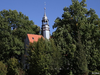 Kościół pw św Jadwigi we Wleniu