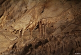 jaskinia-niedzwiedzia-kletno