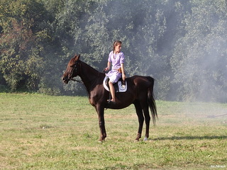 Pokazy Konne
