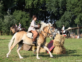Pokazy Konne