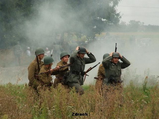Święto 56 Pułku Piechoty Wielkopolskiej Krotoszyn 2009