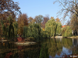 Park Miejski w Krotoszynie