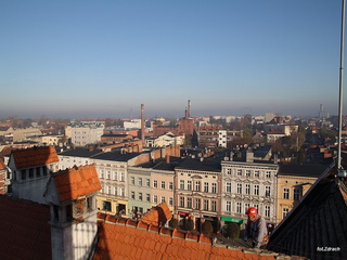 Widok z Wieży Ratusza w Krotoszynie Foto Galeria