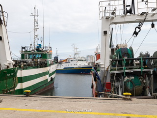 Port Rybacki w Kołobrzegu 