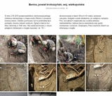Informacje pomocne w ekshumacji Niemieckiego Żolnierza w Benicach 2015