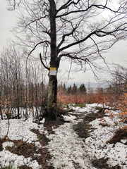 Wielka Sowa, Mała Sowa 2023 Foto Galeria