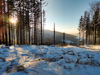 Wielka Sowa, Mała Sowa 2024 Foto Galeria