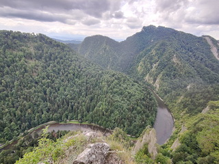 Sokolica